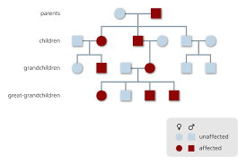 What Are Single Gene Disorders Facts Yourgenome Org