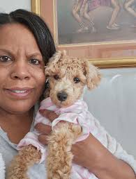 I've decided I'm my own emotional support animal! Lion of ZION