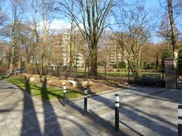 Der besuch ist ganzjährig möglich und kostenlos. Duisburg Grun Grune Oasen Botanischer Garten Duissern