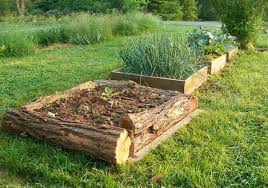 28 Best Diy Raised Bed Garden Ideas Designs Building A Raised Garden Raised Bed Garden Design Raised Garden