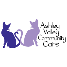 Rehome is free to you, and your cat's new adopter will pay a small adoption fee which will then be donated in full to a local animal shelter or rescue, like the. Uintah Animal Control And Shelter Ssd Home Facebook