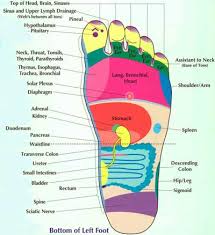 modern institute of reflexology