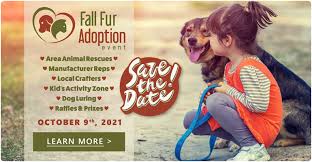 Nulo pet food year of origin: Pet Supplies Food Treats And Toys Care A Lot Pet Supply