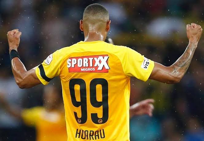 Image result for guillaume hoarau"