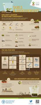Soils And Biodiversity Ap Environmental Science Environmental Education Plant Science