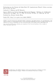 Image result for Cyphostemma septemfoliolatum