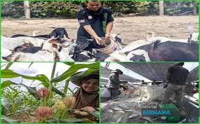 So there is no different situation for he, she, it. Bernama Penjana Beri Pusingan Modal Buat Peladang Petani Dan Nelayan