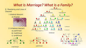Chapter 14 Marriage And Family Ppt Download