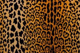 We did not find results for: Leopard Print Fabric By The Yard Animal Prints Fabric The Fabric Mill