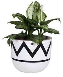 Black And White Striped Outdoor Planters Featuring A Zigzag And Striped Design In Contrasting Black This White Planter Brings Southwestern Styl Outdoor Garden Planters Planters Indoor Outdoor Planter