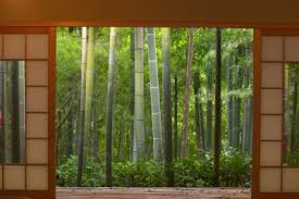 A vinyl shelf liner works best in the bathroom or the kitchen pantry. How To Decorate The Inside Of Basement Window Wells