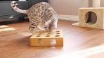 The 16 Best Interactive Cat Toys in 2020 - Bengal Cats