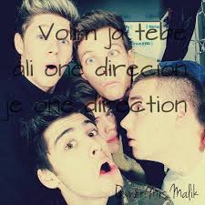 Volim ja tebe,ali One Direction je One Direction