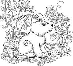 25 Amazing Picture Of Printable Animal Coloring Pages Albanysinsanity Com Santa Coloring Pages Farm Animal Coloring Pages Bird Coloring Pages