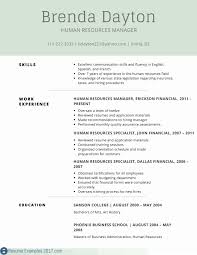 sales manager resume sample it manager