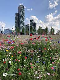 Jul 04, 2021 · un'immersione nelle parole che grandi autori hanno saputo trovare per descrivere il rapporto speciale che lega gli uomini agli alberi, alla natura Milano Porta Nuova Ci Si Prepara Alla Primavera Nella Biblioteca Degli Alberi Urbanfile Blog
