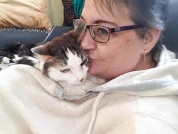 I lost my sweet boy.. later that day I saw him through clouds 🥺🥺🥺💔 Run  free, Hammy! 🌈🕊️