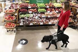 Natural pet foods is located at 61 bridge street in carleton place. Guide Dogs Trained During Pandemic Will Be Ready Agencies Insist Cbc News