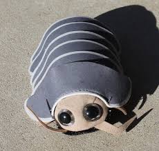 It is a member of the family. Finger Puppet Australian Native Giant Burrowing Cockroach Campbells Online Store