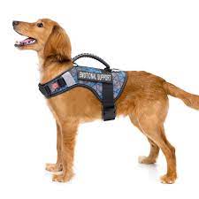 Emotional Support Dogs Breeds And The Fha Emotional Support Dog Support Dog Dog Breeds
