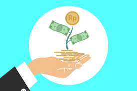 Rambu Rambu Investasi Dari Perusahaan Modal Ventura Pma