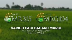 N pengurusan sumber manusia yang efisyen dan efektif. Mardi Live Facebook