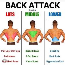 The vertebral column runs the length of the back and creates a central area of recession. Pin On Running