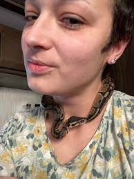 Glad to be part of this group with my 7-month-old ball python Auzzie