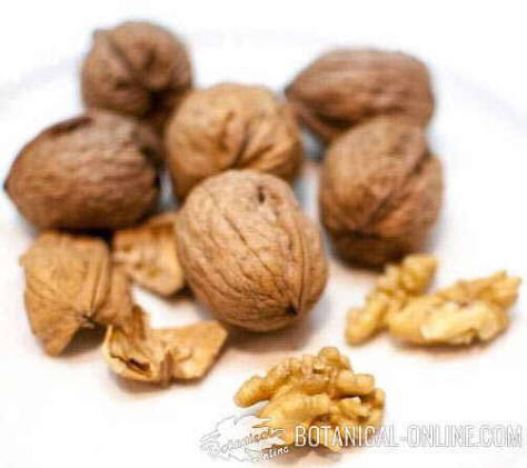 Biotina
