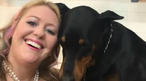 Fake service dogs are becoming more common