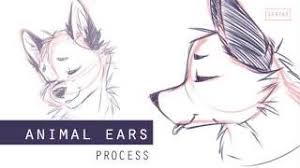 Now draw a nose and two oval shape eyes in the. How To Draw Furry Wolf Ears Herunterladen