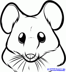 How To Draw A Mouse Face Step 5 Cartoon Drawings Drawings Mouse Drawing