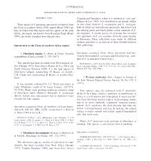 Image result for Pycreus muricatus