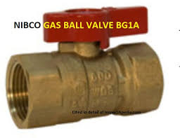 Lp Natural Gas Appliance Shutoff Valves Install Locate Inspect Repair
