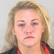 DUI suspect crashses into street sign and fire hydrant after leaving  Leesburg bar