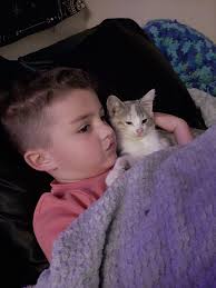 Lawrence County, Ohio Lost and Found Animals