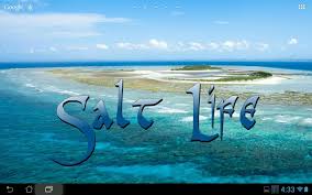 Salt Life Full Hd Wallpapers Top Free Salt Life Full Hd Backgrounds Wallpaperaccess Life salt salt life still life nature black high definition picture vegetables street pepper water autumn city tomatoes red pepper flowers white beach urban still stadt fall sea tree onions eggplant potatoes. salt life full hd wallpapers top free