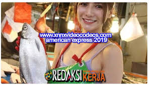 In this post, you will get complete details of the. Www Xnnxvideocodecs Com American Express 2019 Indonesia Www Xnnxvideocodecs Com American Express 2019 Financial Technology News Workspaces Of Highly Creative People Milton Irwin