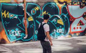 Free Teen Opinion Essay On Vandalism And Its Causes