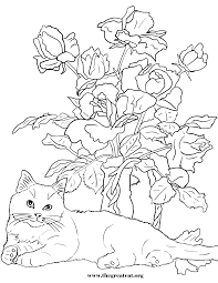 We did not find results for: Cats And Flowers Coloring Book Dibujos Gatos Laminas Para Colorear
