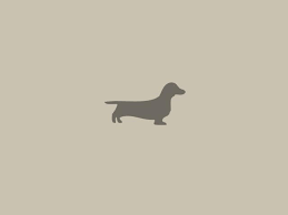 Dachshund Dog Minimalism Wallpaper Hd Vector 4k Wallpapers Images Photos And Background Wallpapers Den In 2021 Dachshund Wallpaper Dachshund Wallpaper