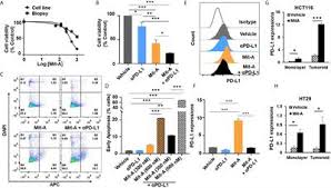 Check spelling or type a new query. Frontiers Combination Therapy Of Mithramycin A And Immune Checkpoint Inhibitor For The Treatment Of Colorectal Cancer In An Orthotopic Murine Model Immunology
