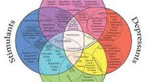 Image result for Hallucinogen