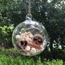 森の茸標本 2020 手作りキット テラリウム フラワーリース