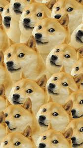 Doge Wallpaper Hd Dog Wallpaper Iphone Dog Wallpaper Doge Meme