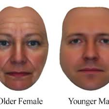 PDF) The Many Faces of Leadership: An Evolutionary-Psychology Approach