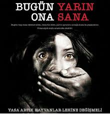 Insan Denilen Varlik Bu Kadar Bencil Iste Bu Yuzden Bizler Bunu Soylemek Zorunda Kaliyoruz Onlari Dusunmuyorsan Acimiyorsan Bile Bari Kendini Dusun De Koru D In 2020