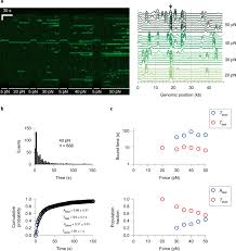 Most garages house anywhere from one to three cars per family and an assortment of other belongings. Dna Stretching Induces Cas9 Off Target Activity Nature Structural Molecular Biology