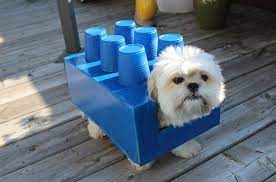Diy Halloween Costumes For Dogs Lego Dogo Petguide Dog Halloween Diy Dog Stuff Diy Dog Costumes