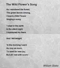 Start studying william blake's poems. The Wild Flower S Song Poem By William Blake Poem Hunter